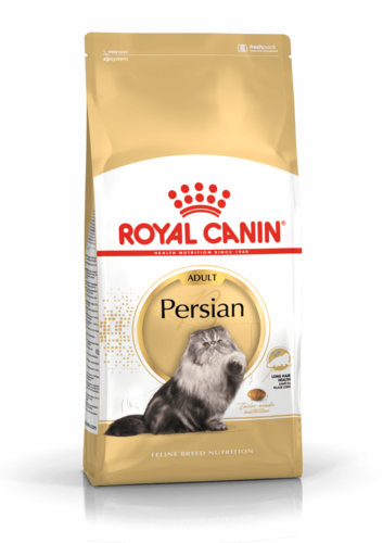 רויאל קנין לחתול פרסי 10 ק''ג ROYAL CANIN
