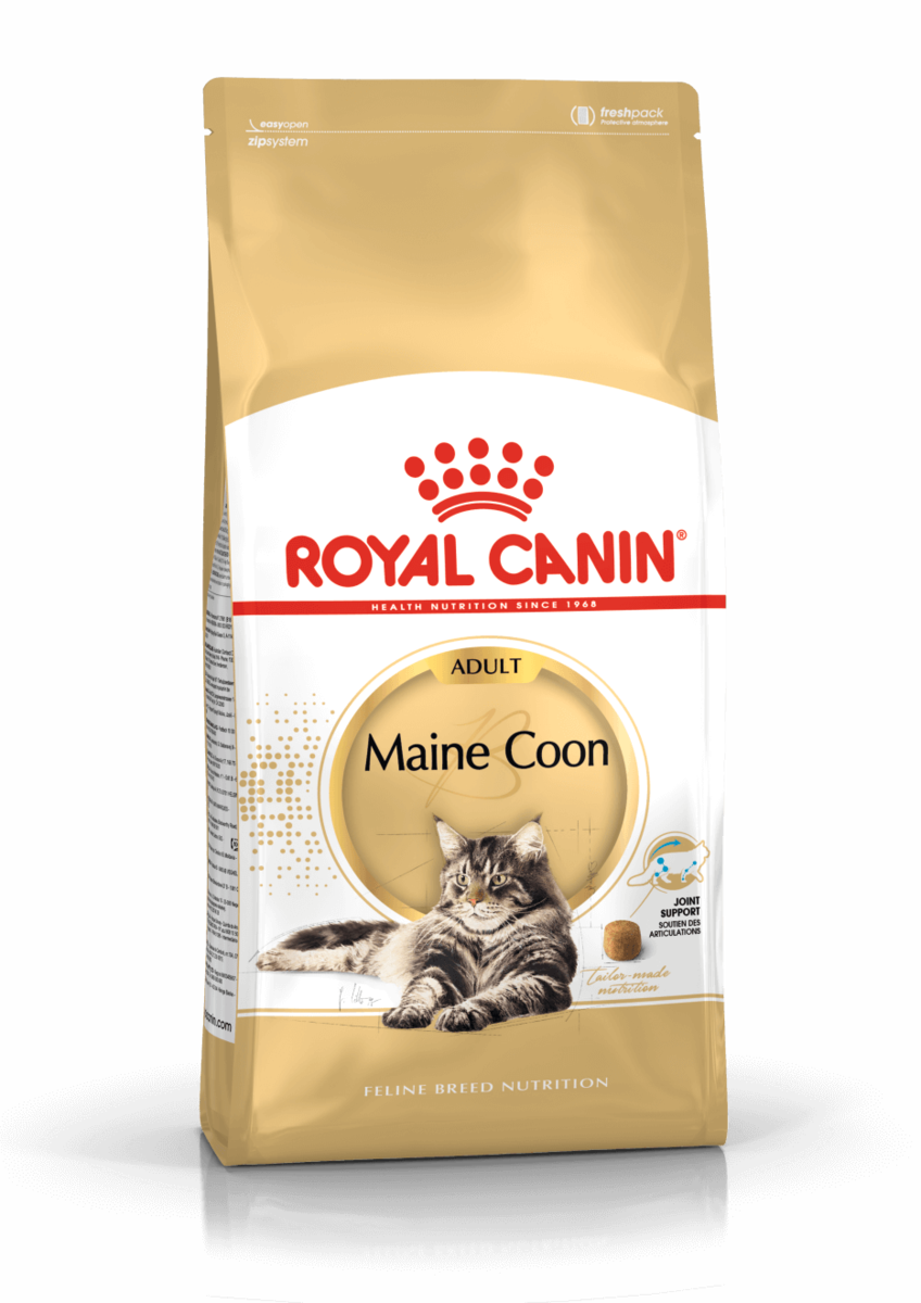 רויאל קנין לחתול מיין קון 4 ק''ג ROYAL CANIN