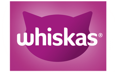 logo 15