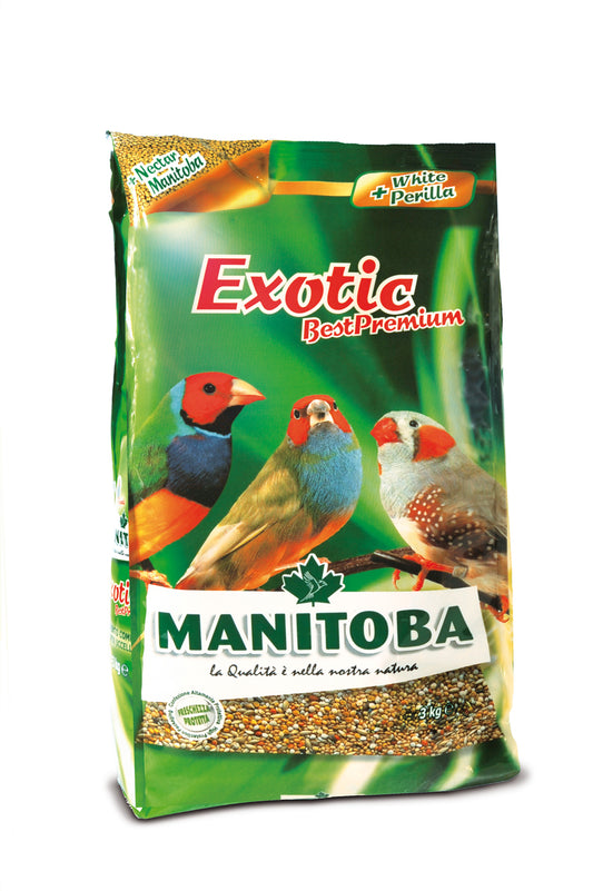 תערובת בסט פרימיום לפינקים 1 ק''ג מניטובה MANITOBA