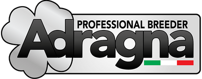logo 11
